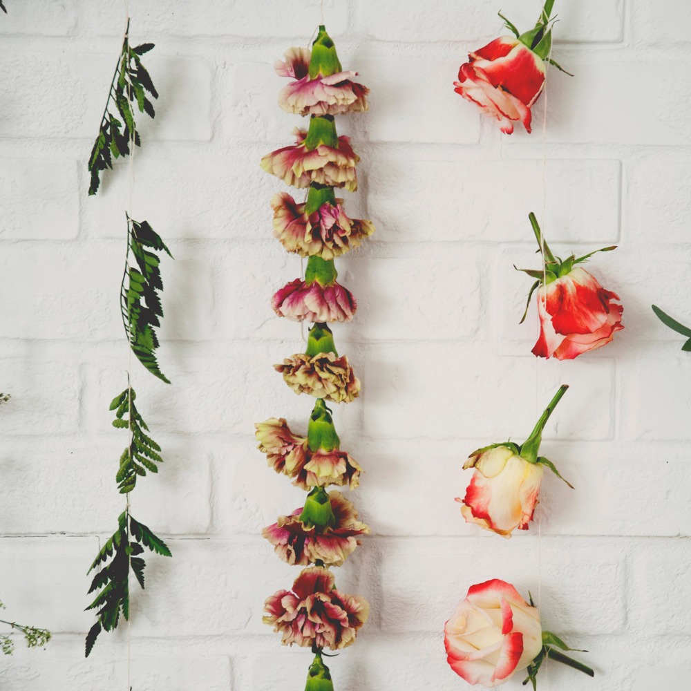 Meet your Posher, Shii